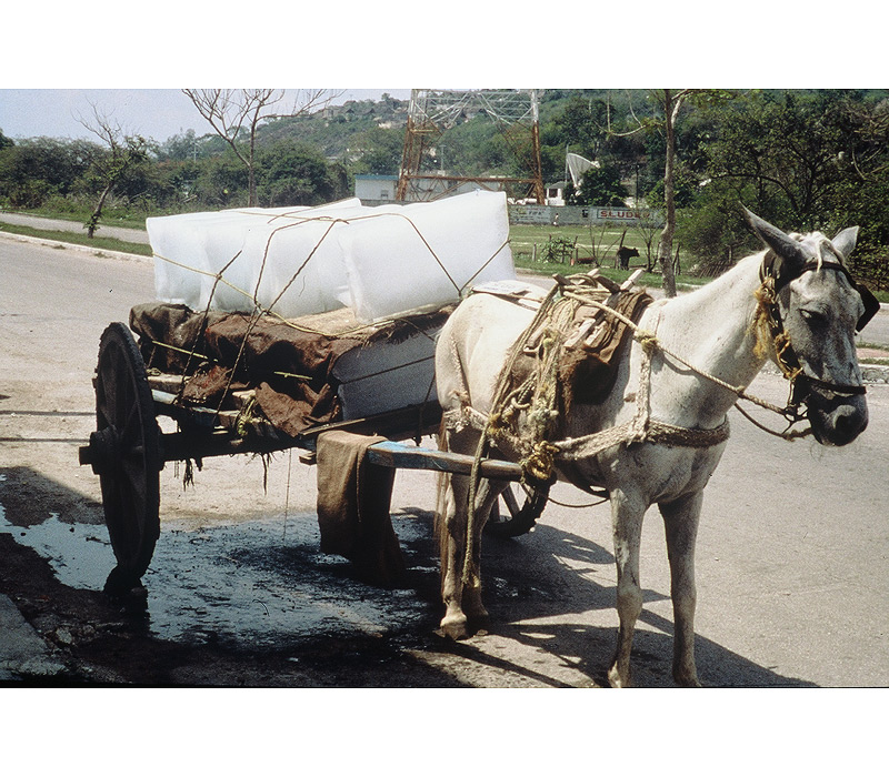 Mexico 1975-2000 / Linda Gilbert-Schneider Photography