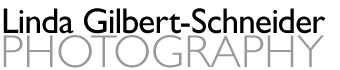 Linda Gilbert-Schneider Photography